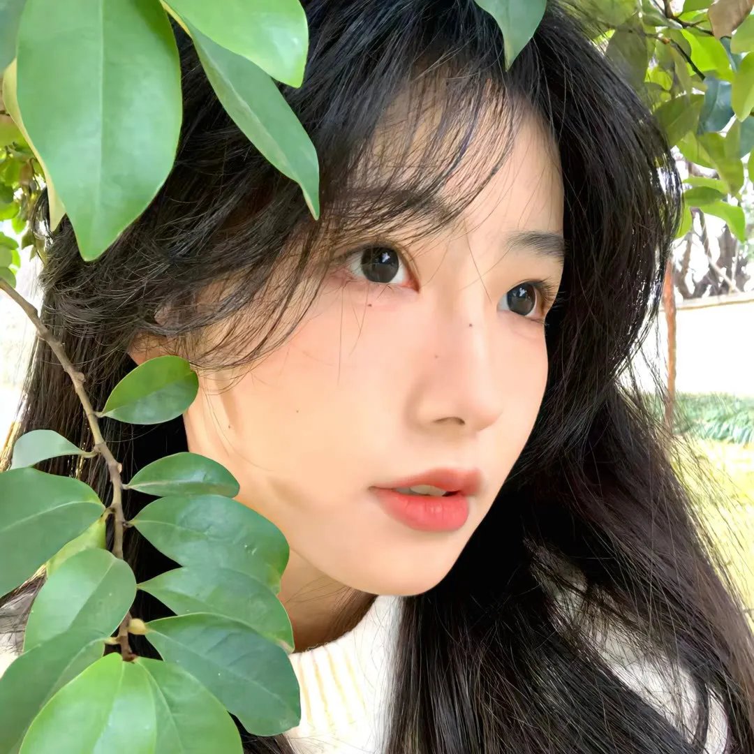 风流家族